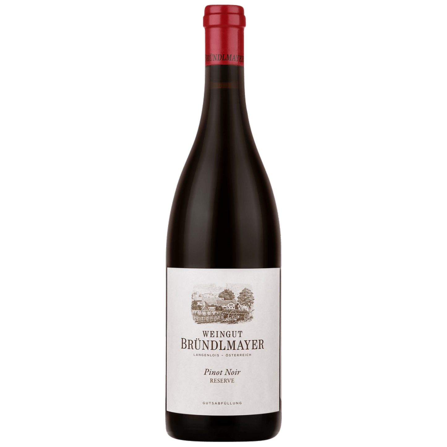 Weingut Bründlmayer Pinot Noir Reserve Ried Käferberg 2020 1.5L