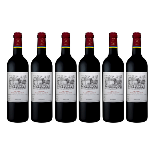 Château Paradis Casseuil 2018 (OWC6)