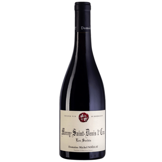Domaine Michel Noëllat Morey-Saint-Denis 2021