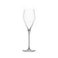 Zalto Champagne Glass